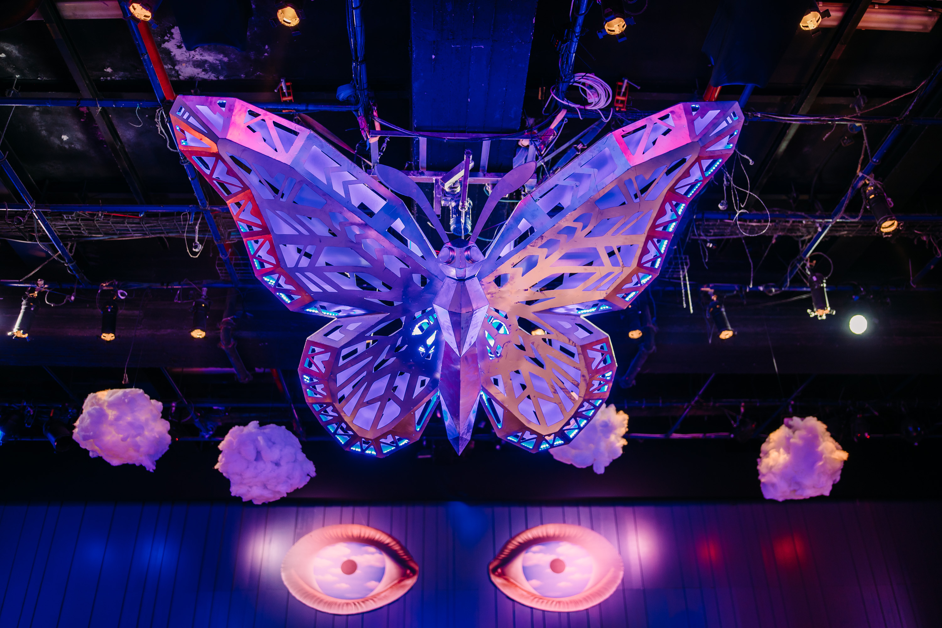 The Butterfly