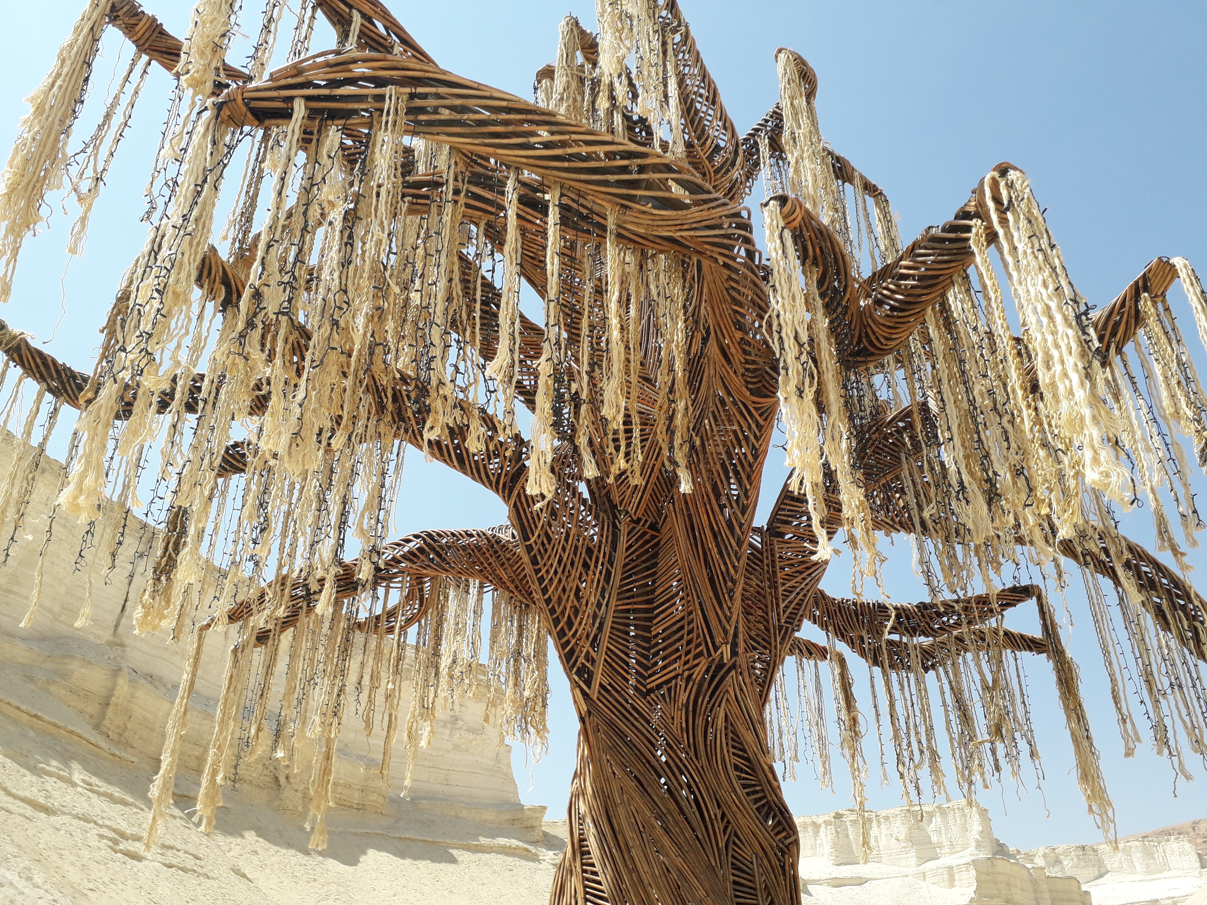 Tree of Life