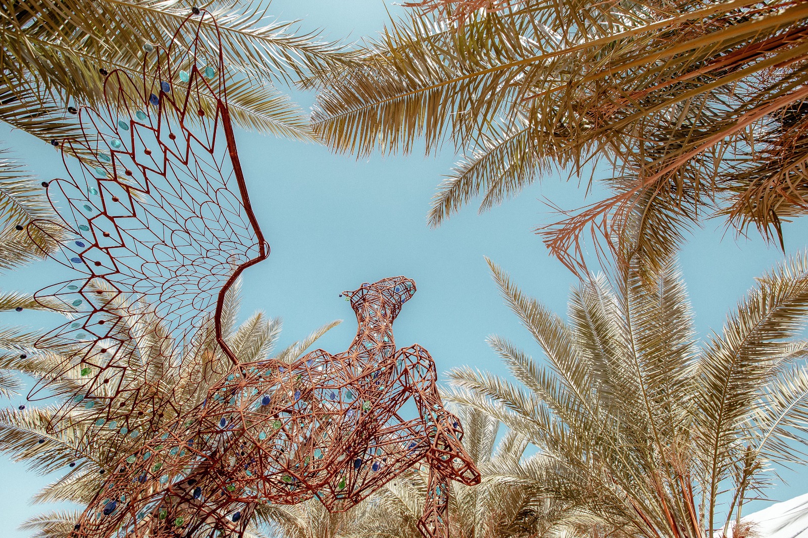 IRON LACE FLYING CAMEL