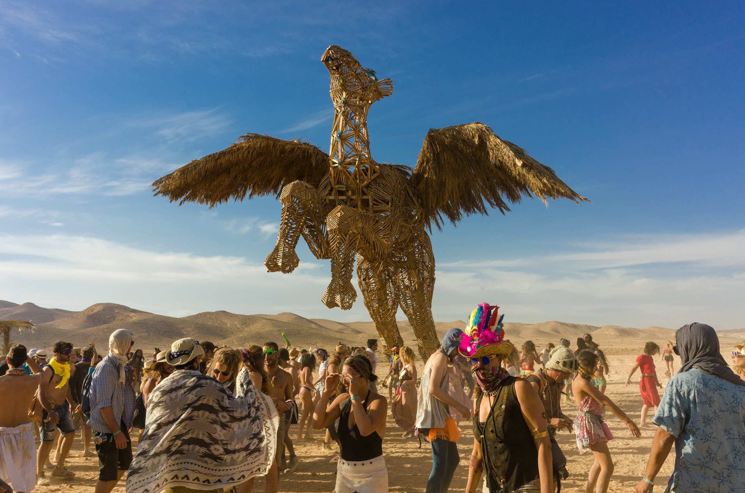 The Flying Camel